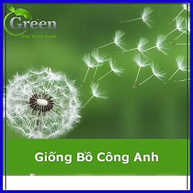 Hạt Giống Hoa Bồ Công Anh Xuất Xứ Đức (50H)