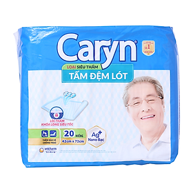 Tấm Đệm Lót Siêu Thấm Caryn 20 Miếng