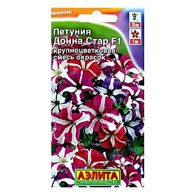 Hạt Giống Dạ Yên Thảo Sọc Mix F1 Ailita (10 Hạt)