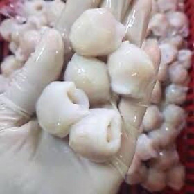 Răng mực cồ Răng bự vĩ 500gr (giao tphcm)
