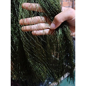 Mua 1 tay lưới rắn 15m màu cỏ khô. xanh rêu
