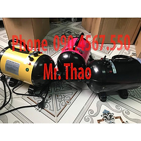 Máy Sấy Lông cho Chó Mèo Công Suất Lớn tối đa 2800W, Sóng Ion Âm Diệt Khuẩn