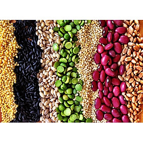 Bột ngũ cốc dinh dưỡng cao cấp Dr. B-Glucan (Dành cho người ăn kiêng hoặc tiểu đường) - hộp thiếc 750g