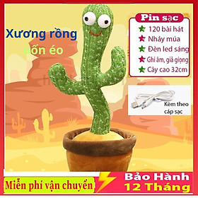 Cây xương Rồng Nhảy Múa Xương Rồng Biết Nhại Siêu Hót