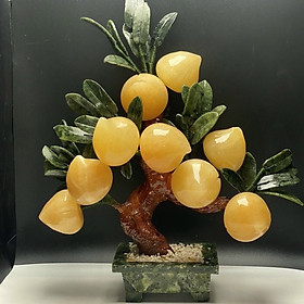 Mua Cây Đào Đá Ngọc Hoàng Long 9 quả - Cao 25cm