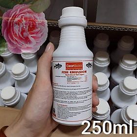 Mua Phân đạm cá Mỹ cô đặc Fish Emulsion chai 250ml - 500ml - 1000ml
