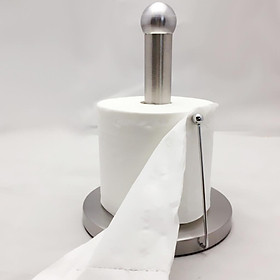 Stainless Steel Toilet Paper Holder 2 Rolls
