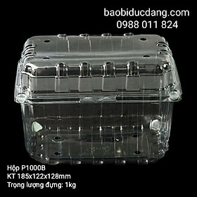 Mua 10 hộp đựng 250gr - 350gr - 500gr- 1kg - 1 5kg hoa quả ( có lỗ thoát khí và nút gài)