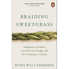 Ảnh bìa Sách khoa học tiếng Anh: Braiding Sweetgrass