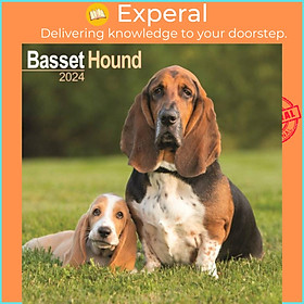 Sách - Basset Hound Calendar 2024  Square Dog Breed Wall Calendar - 16 Month by  (UK edition, paperback)