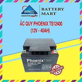 Bình Ắc Quy Khô PHOENIX TS12400 12V-40AH