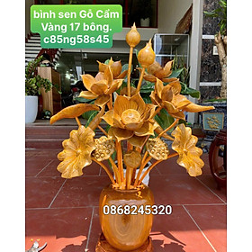 Mua 1 Bình hoa sen gỗ cẩm 17 bông