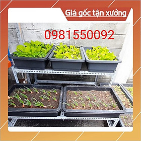 Mua Kệ sắt trồng rau thông minh 2 tầng 5 khay nhựa có BÁNH XE ( dùng sắt V3x3cm và sắt V4x4cm) bao chắc chắn tiện lợi