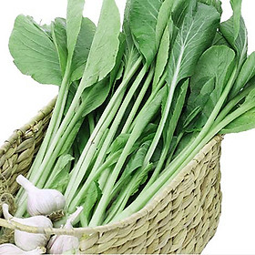 Mua Hạt giống cải ngọt RADO 54 (20g/gói) -