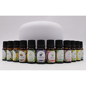 Mua Set 12 và Set 4  Chai Tinh Dầu Thiên Nhiên Xông Phòng Nhiều Mùi Hương