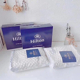 Mua Gối cao su non Hilton cao cấp hàng loại 1