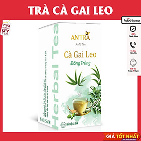 Hộp 30 Gói Trà Búp Ổi Hoa Nhài Giúp Giảm Cân, Tiêu Mỡ Nhanh, Đẹp Da, Ngăn Ngừa Lão Hóa An Thần Giảm Stress An Toàn Thiên Nhiên - Trà cà gai leo đông trùng