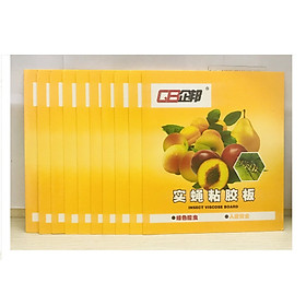 10 Miếng Dính Bẫy Côn Trùng , Bẫy Ruồi Vàng 22x40cm