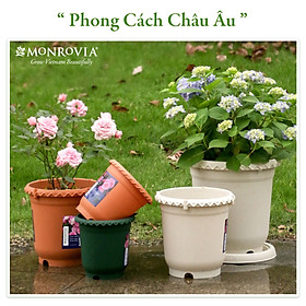 Chậu trồng cây Decor trang trí thương hiệu MONROVIA chuyên cho Hoa, hoa hồng, kèm đĩa lót thông minh, thiết kế tinh tế, tiêu chuẩn Châu Âu