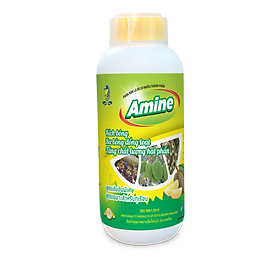 Mua Phân bón lá AMINE (Cây sầu riêng) 500ML