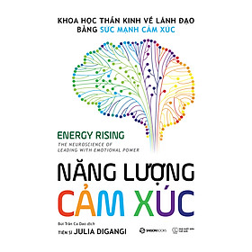 Sách Năng Lượng Cảm Xúc - Khoa học thần kinh về lãnh đạo bằng sức mạnh cảm xúc