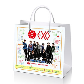 Túi quà EXO 13 món