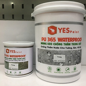 Keo chống thấm nước YES PU 635 cho tường, sàn, vết nứt màu trong suốt lon 1kg - lon 5kg