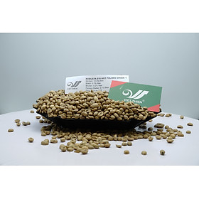 Việt Thiên_Cafe nhân xanh Robusta S18 Wet Polished_1kg_Nhà máy sản xuất, chế biến cafe nhân xanh