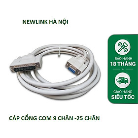 Mua Dây cáp chuyển đổi COM 9 chân (RS 232) sang 25 chân LPT