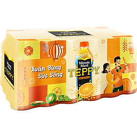 Lốc 24 Chai Nước Cam Teppy (327ml / Chai)