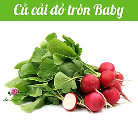 Hạt giống củ cải đỏ gói 2gr - RẤT DỄ TRỒNG