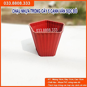 COMBO 5 CÁI CHẬU NHỰA TRỒNG CÂY 5 CẠNH VÂN SỌC ĐỎ - SIÊU BỀN, ĐẸP