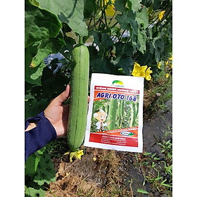 Mua Hạt Giống mướp hương lai F1 - AGRI OTO 168 ( 1 gói 10gram hơn 100 hạt )