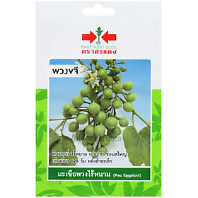 Hạt giống cà tím không gai - Nhập khẩu Thái Lan nguyên bao bì - gói 70h - A5908