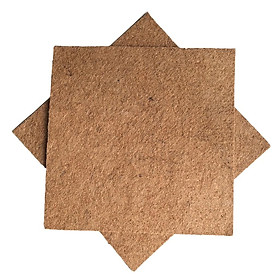 Mua 02 tấm thảm xơ dừa ép kích thước 50x50cm trồng lan  ươm cây-Đồ Gia Dụng Tại HCM