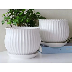 Chậu gốm sứ hoa văn để bàn kèm đĩa đựng nước