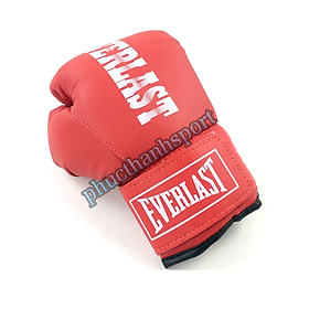 Găng đấm boxing Everlast 8oz