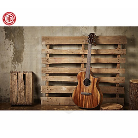 Đàn Guitar Acoustic - HEX FX240C - Honey Series - Size Grand Auditorium - Hàng chính hãng