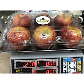 Hộp 6 trái táo envy khoảng 1.2 kg