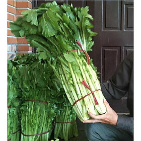 Hạt giống rau cải mèo Hà Giang - gói 1kg