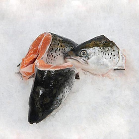 HCM - Đầu cá hồi tươi làm sạch 1kg/ Fresh Salmon Head