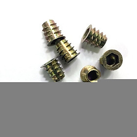 Mua Túi ốc cấy gỗ phi 6 - 100 con