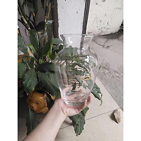 Mua Lục Bình Mài
