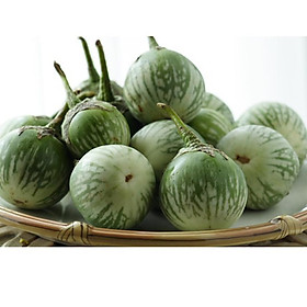 Mua Hạt giống cà dĩa