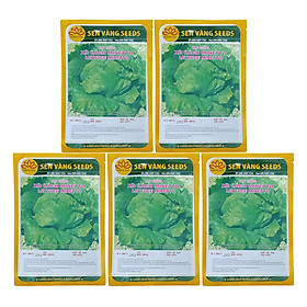 Mua Bộ 5 Túi 2Gr Hạt Giống Xà Lách Mineto (Lactuca Sativa)