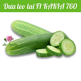 Hạt giống Dưa Leo gói 1gr - Trái giòn da xanh