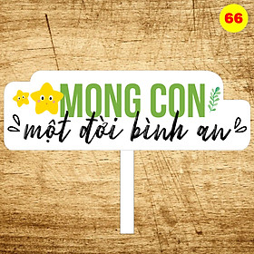 Bảng hashtag sinh nhật MS 66