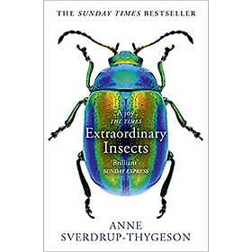 Extraordinary Insects