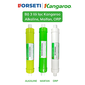 Mua HÀNG CHÍNH HÃNG - Combo 3 lõi lọc nước Kangaroo - 789 (Alkaline  Maifan Rock  ORP)