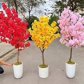 Mua Cây hoa anh đào giả - cây hoa mai giả - Size 140cm đến 180cm - Cây giả  hoa lụa Decor trang trí nhà cửa